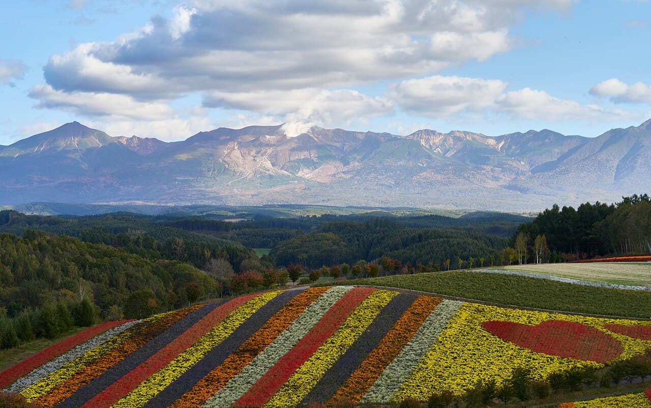 美瑛・富良野